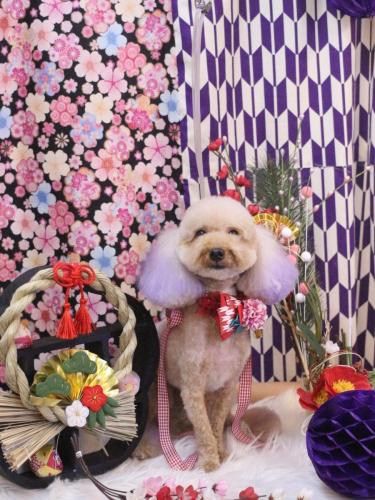 20250131ココちゃん